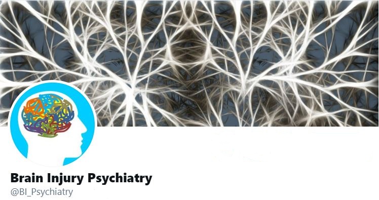 icare Brain Injury Psychiatry Program (iBIPP)