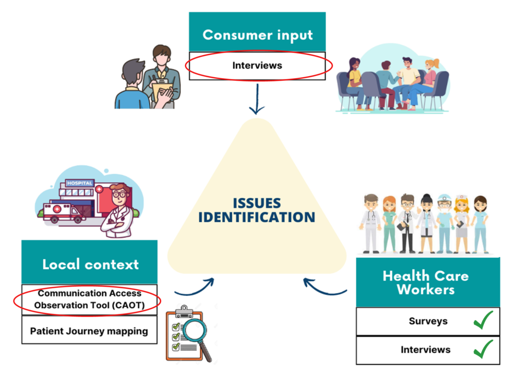 Figure outlining components in issues identification